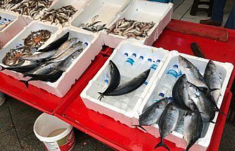 Palamut bolluğunda sona gelindi