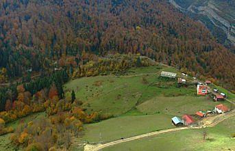 Tabiat parkları sonbahar renkleriyle büyülüyor