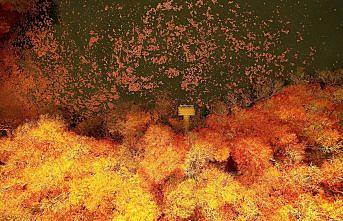 Tabiatın kalbinde sonbahar güzelliği