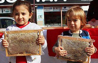 Taşova’da 1. Bal Fuarı