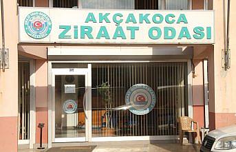 TMO'nun fındık alımı üreticiyi ümitlendirdi