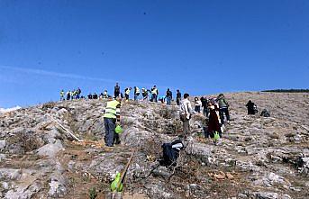 Tokat'ta bin 600 fidan dikildi