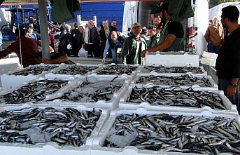 Zonguldak'ta hamsi bereketi