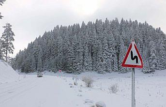 Abant'ta kar yağışı