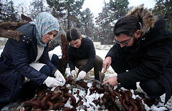 Ağa takılan tarihi çapa su altına ışık olacak