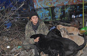 Bartın'da hayvansever kadının açlık grevi