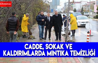 CADDE, SOKAK VE KALDIRIMLARDA MINTIKA TEMİZLİĞİ