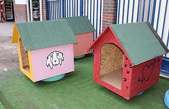 Erbaa'da öğrenciler sokak hayvanları için kolları sıvadı