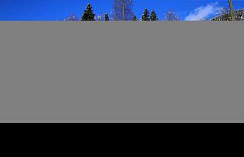 Karadeniz kadınları, AA'nın 