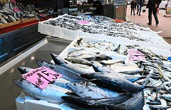 Karadeniz'deki bolluk balıkçıları memnun etti