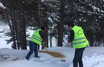 Merzifon’da yaban hayatı için doğaya yem bırakıldı
