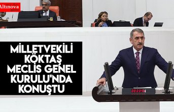 Milletvekili Köktaş Meclis Genel Kurulu'nda konuştu 