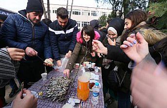 Öğrenciler 200 kilo hamsi yedi