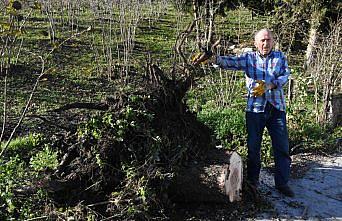 Ordu ve Giresun'da şiddetli rüzgar