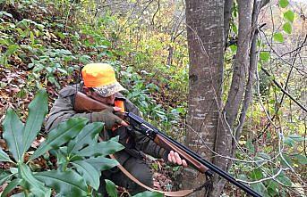 Ordu'da yaban domuzu sürek avı