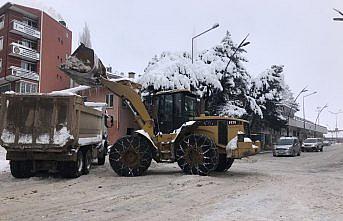 Şebinkarahisar'da kar temizleme çalışmaları başladı