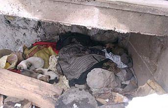 Soğuktan donmak üzere olan köpek yavruları kurtarıldı