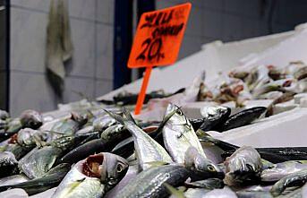 Tezgahlardaki balık çeşitliliği yüz güldürüyor