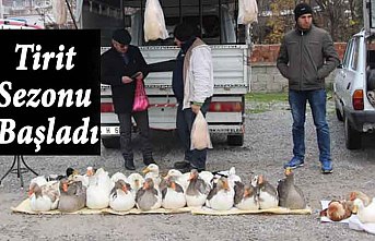 Tirit Sezonu Başladı