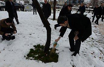 Tokat Belediye Başkanı Eroğlu, parklara yem bıraktı