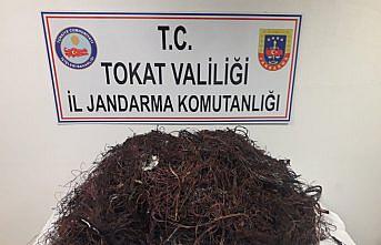 Tokat'ta kablo hırsızlığı iddiası