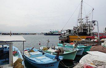 Türkiye'den 20 ülkeye hamsi ihraç edildi