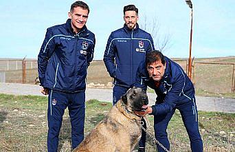 Ünal Karaman ile Sosa'dan kangal köpeği çiftliğine ziyaret