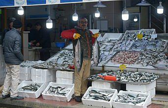 Ağlara takılan torikler balıkçının yüzünü güldürdü