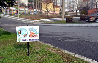 Alaplı Belediyesi sokak hayvanlarını unutmadı