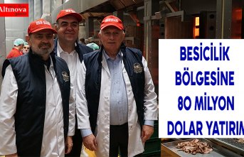 BESİCİLİK BÖLGESİNE 80 MİLYON DOLAR YATIRIM