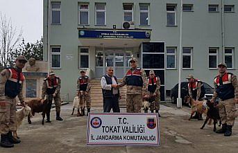 Cezaevinde de telefonla dolandırıcılıktan vazgeçmedi