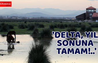 'DELTA, YIL SONUNA TAMAM!..'