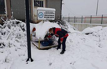 Ereğli'de sokak hayvanları için yem bırakıldı