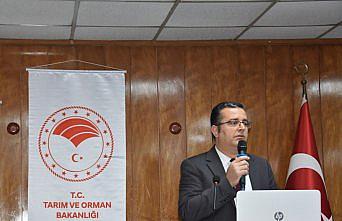 Fındık ve kivi üreticilerine tarım sigortası uyarısı