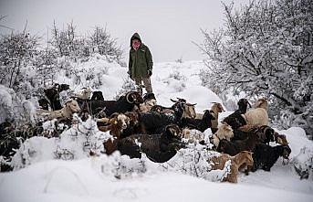 Giresunlu çiftçiler karla mücadele ediyor