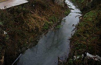 GÜNCELLEME - Fabrikadan yayılan gaz nedeniyle mahalle tahliye edildi