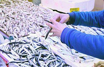Hamsinin kilosu 30 liraya çıktı
