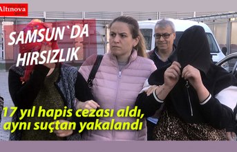 Hırsızlıktan 17 yıl hapis cezası aldı, aynı suçtan yakalandı