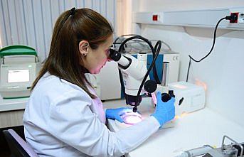 Kireçlenme hastalığına karşı hidrojen sülfür etkisi araştırıldı