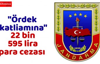 Kuş cennetindeki "ördek katliamı"