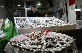 “Maalesef hamsi kısa sürdü“