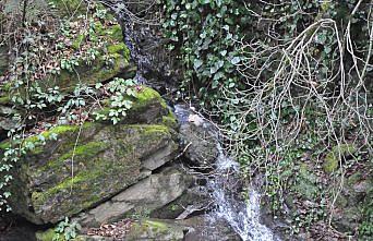 Trabzon'da kaybolan kişi ölü bulundu