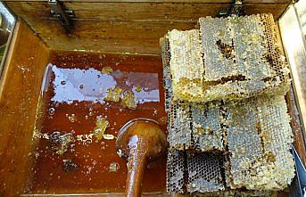 Türk balı 48 ülkede ağızları tatlandırdı