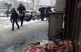 Üşüyen sokak köpeklerini sarıp sarmaladılar