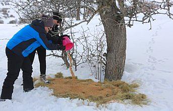 Vali Pehlivan, yaban hayvanları için doğaya yem bıraktı