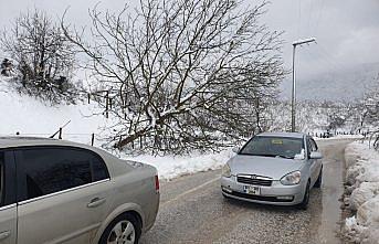 Yığılca'da kara dayanamayan ağaç yola devrildi