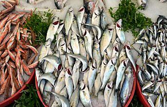 Zonguldak'ta balıkçılar uskumruyu bekliyor