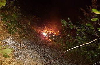 Artvin'de orman yangını