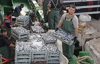 Balıkçıların hamsi avından umudu kalmadı