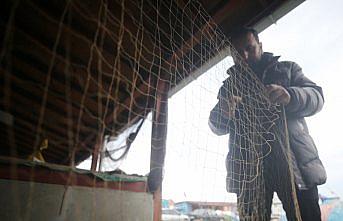 Batı Karadenizli balıkçıların hamsi umudu kalmadı